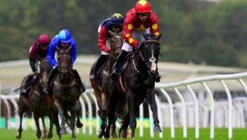 xel Bleue ridden by James Bowen. Pic from PPAUK