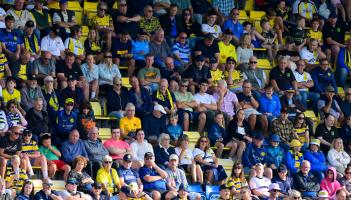 Weekend treat for the Yellow Army. Pic from PPAUK