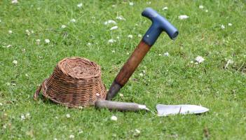Gardening: Time to get the tools out