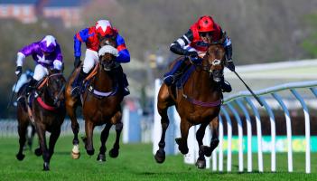 The thrill of racing at Newton Abbot. Pic from PPAUK