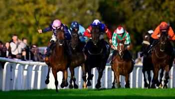 Crest Of Stars ridden by Sam Twiston-Davies 