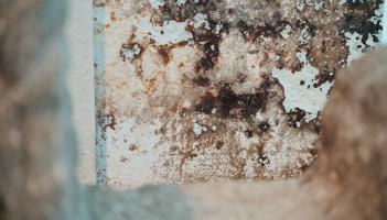 West Devon Council launches new campaign to tackle rising damp and mould in homes