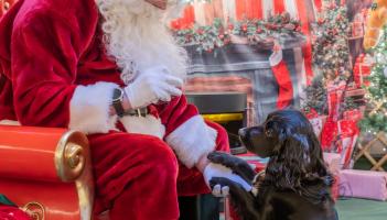 Santa Paws comes to town: Cofton Holidays opens doggy Christmas Grotto