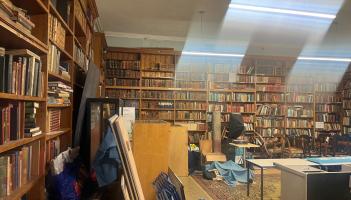 When was the last time locals visited Torquay Museum?