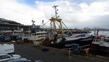 Fishing vessel returns to harbour after Berry Head collision
