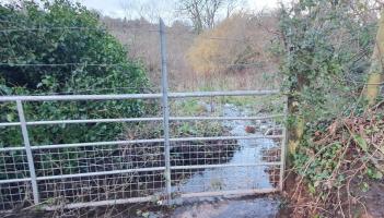 Opposition grows over plans for 175 homes on green fields in Brixham