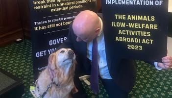 Torbay MP urges action on overseas animal cruelty ban