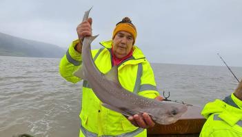 Ivor Moon with a Smoothhound