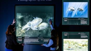 Brixham photographer to showcase award-winning ocean shot at major UK exhibition