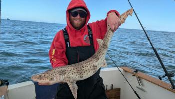 Aiden Lawrence -14lbs 7oz Bull Huss