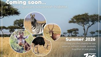 Paignton Zoo Savannah plans - just one theme