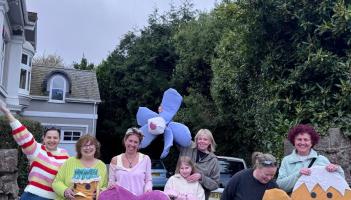 Spring bollard reveal