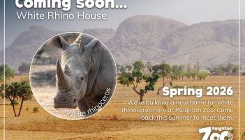 Paignton Zoo&rsquo;s biggest transformation in 102 years set to open this summer