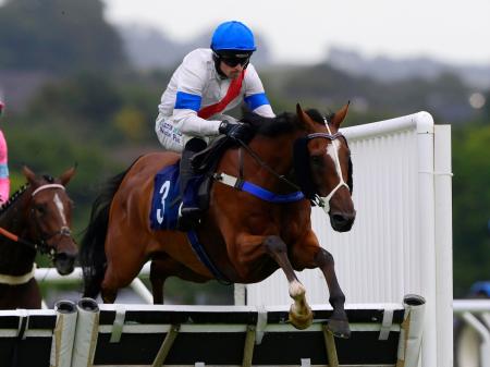 Newton Abbot Races. Pic from PPAUK