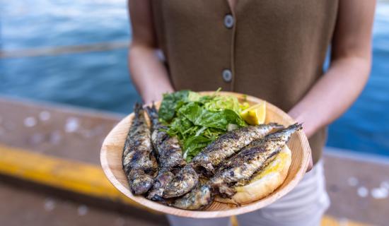 Sardines, chefs and harbourside celebrations as Brixham&rsquo;s new festival launches next week