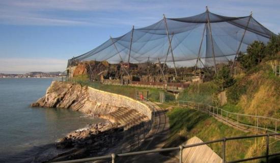 Torbay Weekly Rewind: A look back at March&rsquo;s top stories