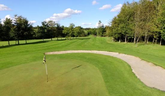 The 11th at Libbaton GC