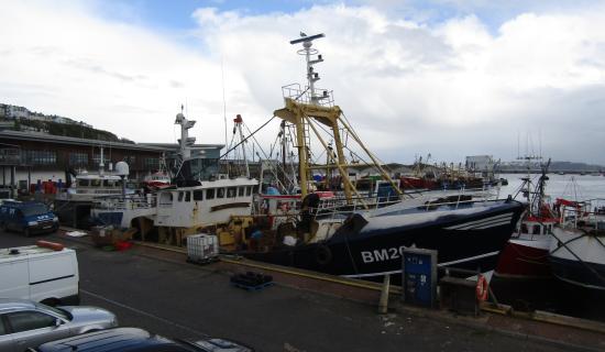 Fishing vessel returns to harbour after Berry Head collision