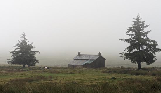 The Storyteller: Why I&rsquo;m trading Dartmoor&rsquo;s &lsquo;notorious&rsquo; fog for the long days of Summer