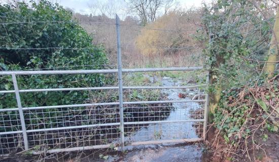 Opposition grows over plans for 175 homes on green fields in Brixham