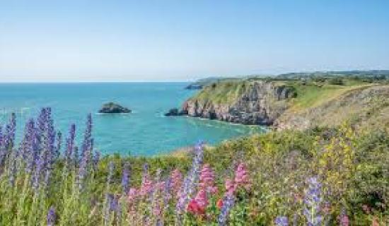 Photo from English Rivera