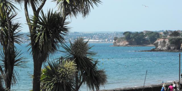 Coastal yoga, painting and wine walks announced for English Riviera festival