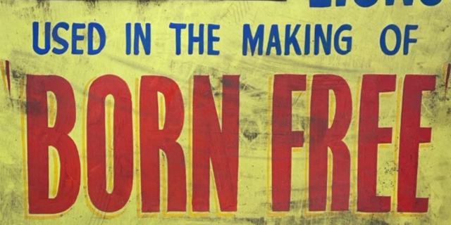 Torbay Picture House restoration unearths rare link to 1960s film classic