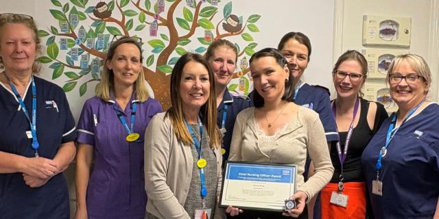 Torbay neonatal nurse praised as &lsquo;truly special&rsquo; after national honour