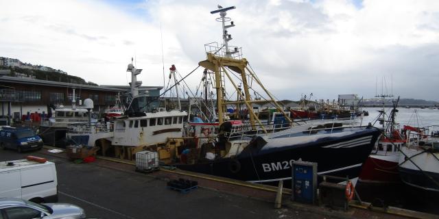 Fishing vessel returns to harbour after Berry Head collision