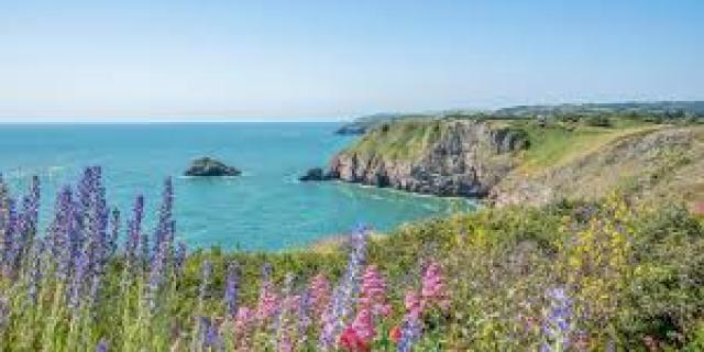 Photo from English Rivera