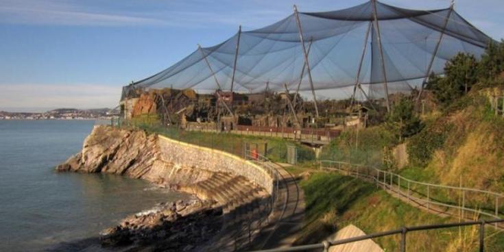 Torbay Weekly Rewind: A look back at March&rsquo;s top stories