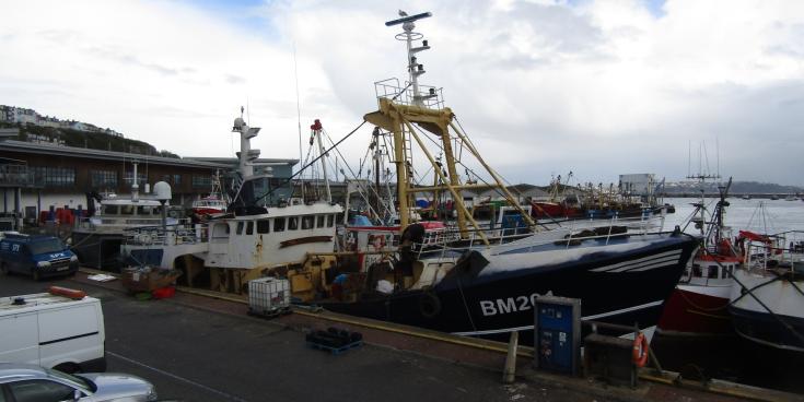 Fishing vessel returns to harbour after Berry Head collision