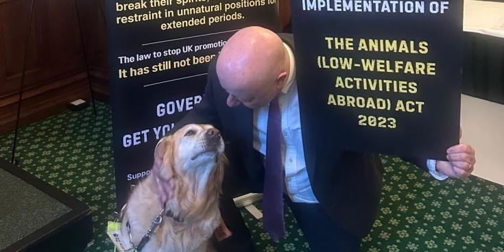 Torbay MP urges action on overseas animal cruelty ban