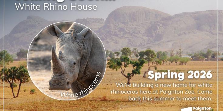 Paignton Zoo&rsquo;s biggest transformation in 102 years set to open this summer