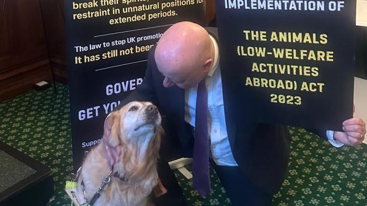 Torbay MP urges action on overseas animal cruelty ban