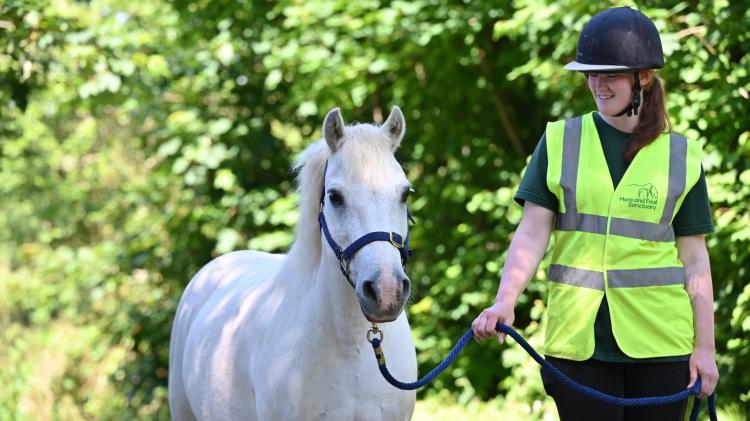 Alan and Mhaya Holloway