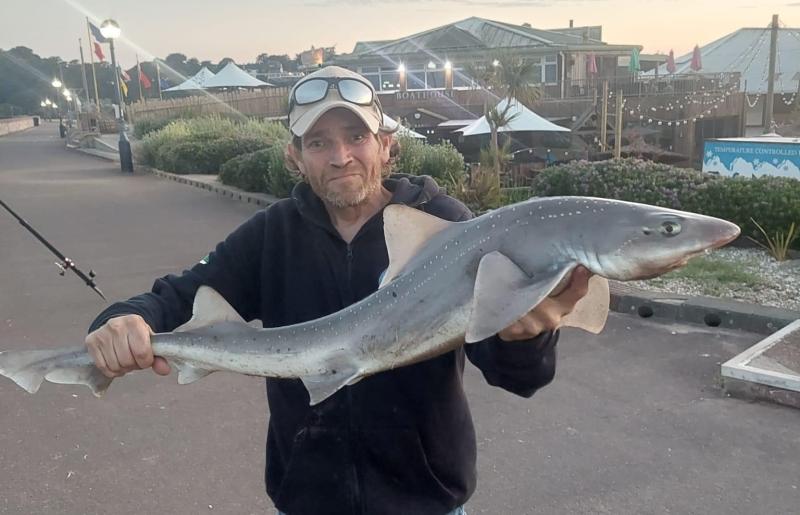 Superb fishing delights anglers with smoothhounds, bream and bass among