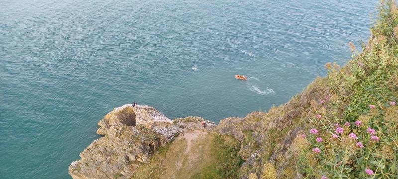 Child rescued off Berry Head