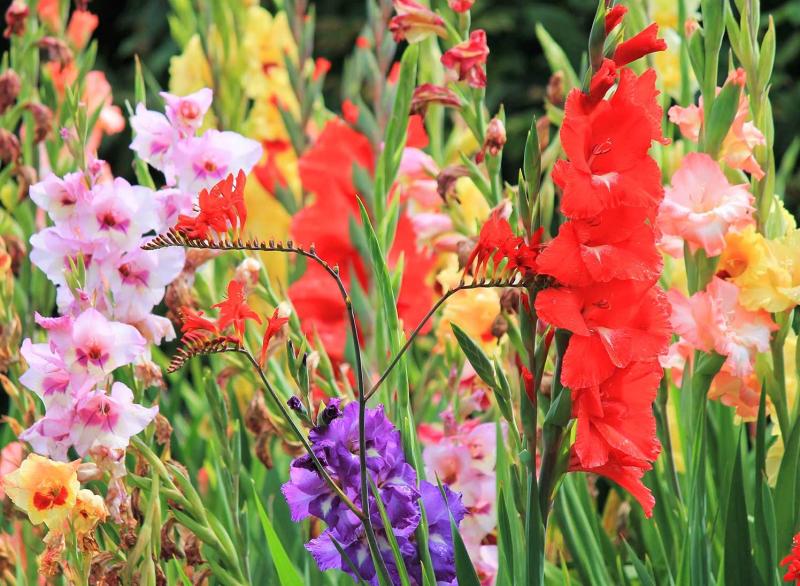 Winter planting can begin now
