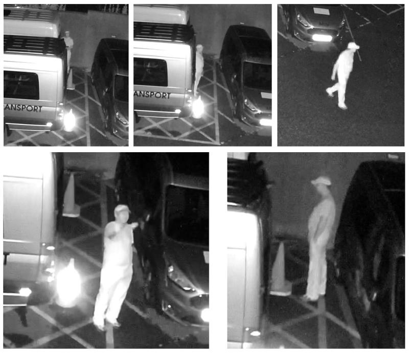 Arson probe pictures