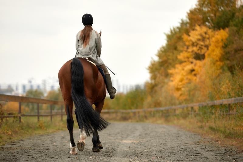 Horse riding
