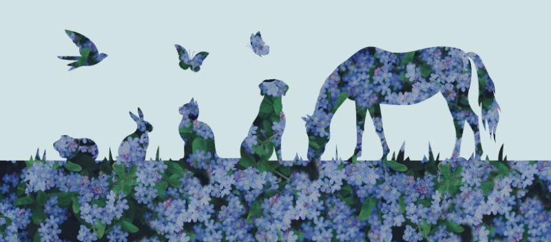 Valley Pet & Equine Crematorium