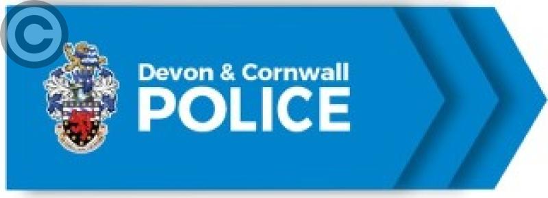 Police logo