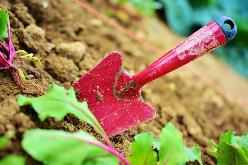 Gardening