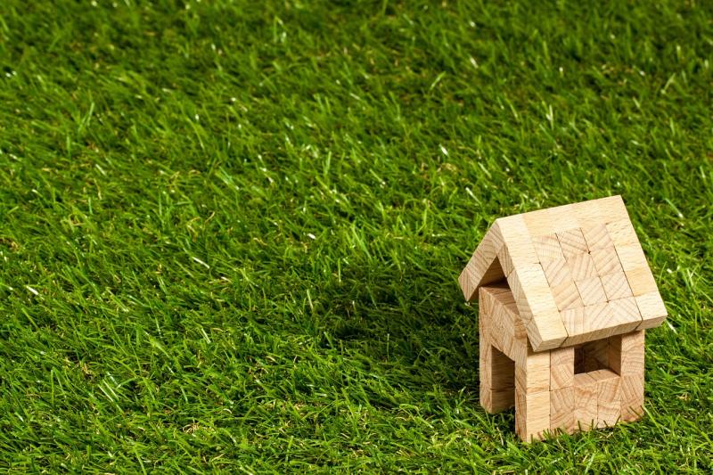 Lawn TLC