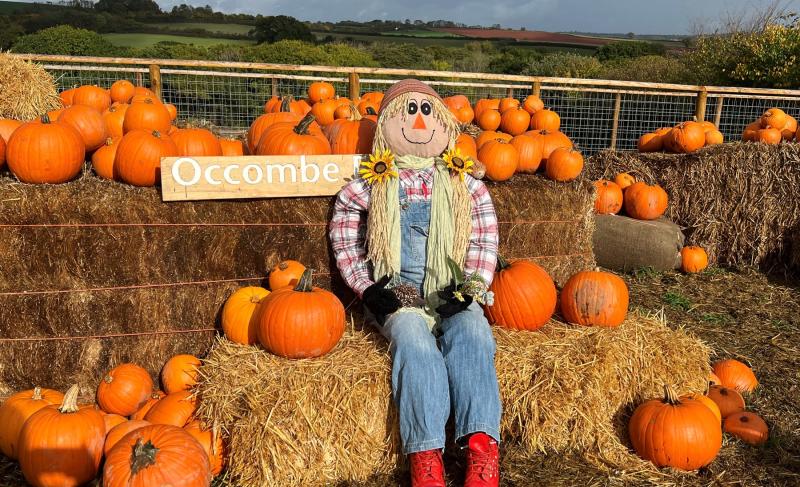 Occombe Farm scarecrows