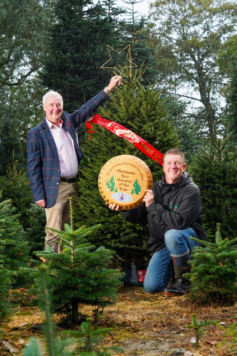 Winning Christmas Tree