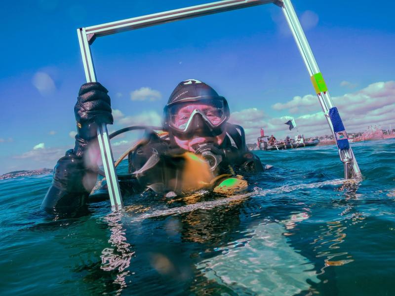 Wild Planet Trust seagrass dive Pic Catherine Williams