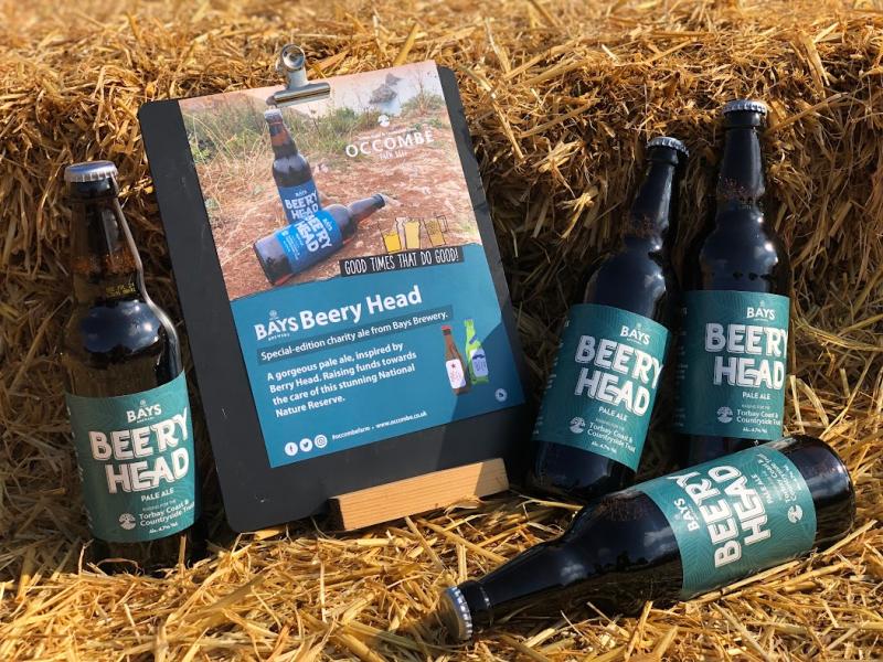 Beery Head from Bays Brewery