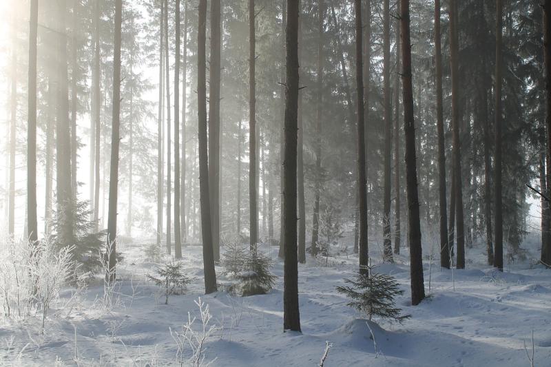 Winter 